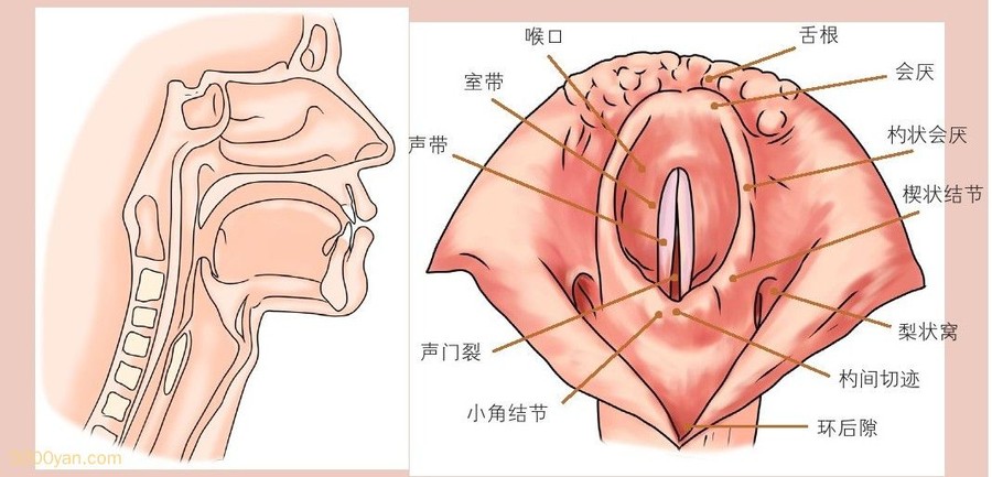 巢ٵĹܼ䲡ͼ