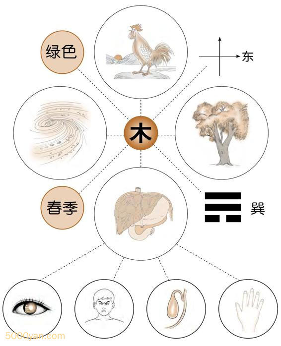 ôлֹࣿͼ