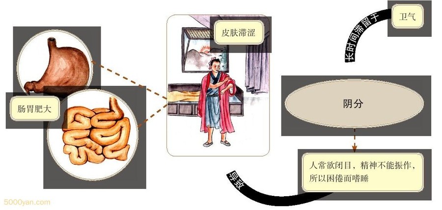 Ӫ֮쳣Ʋͼ