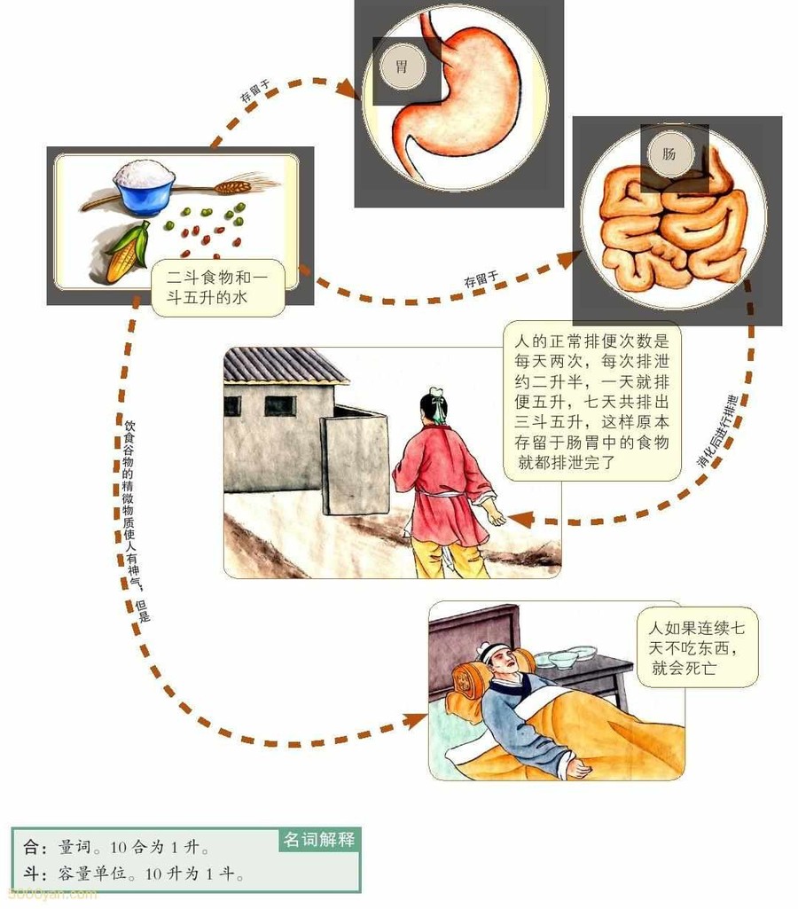 첻ʳͻͼ
