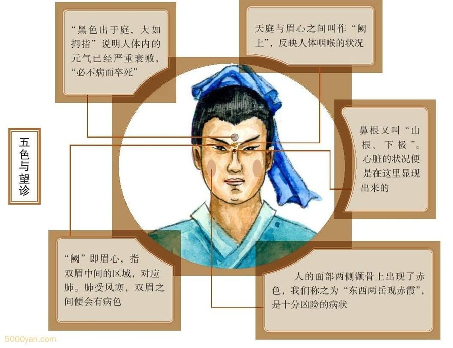 ɫ仯벡ʱԤ֪ͼ