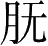 Ƨ_Ա28732
