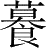 Ƨ_Ա28655