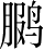 Ƨ_Ա4037