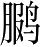 Ƨ_Ա4046