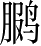 Ƨ_Ա4044