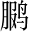 Ƨ_Ա4045