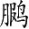 Ƨ_Ա4050