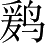 Ƨ_Ա4056