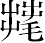 Ƨ_Ա7255