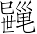 Ƨ_Ա7138
