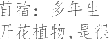 生僻字_古文自编8864号