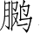 Ƨ_Ա5055