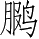 Ƨ_Ա5221