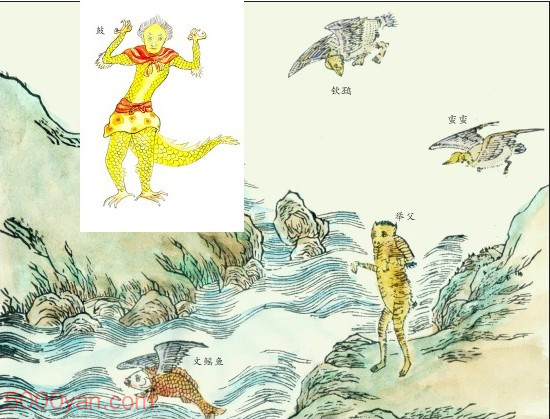 ����������ͼ