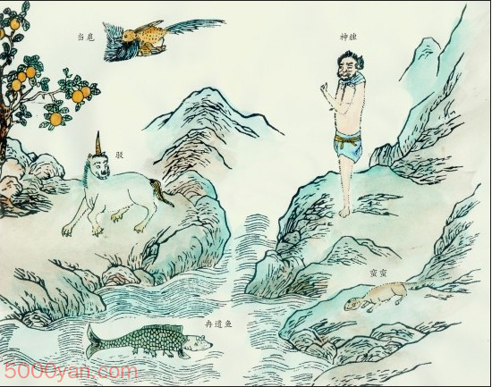 �����ľ���ͼ