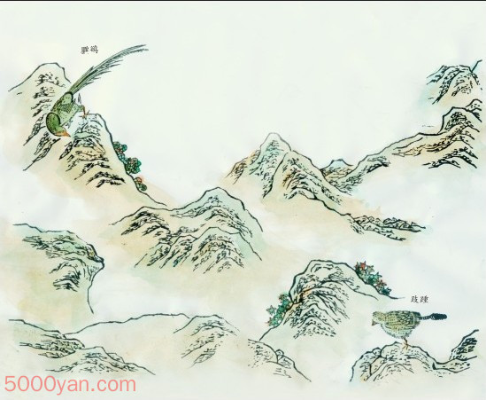 �д�ʮ����ͼ