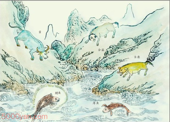 �����ľ���ͼ