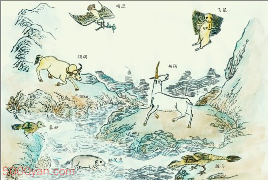 ����������ͼ