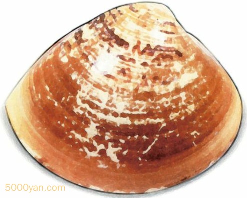 ĸͼ