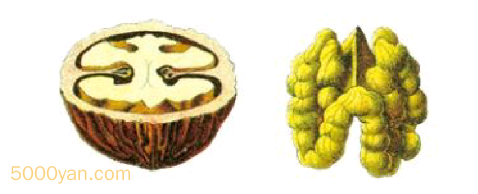 Ҳͼ