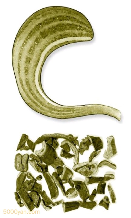 ˮΣzhͼ