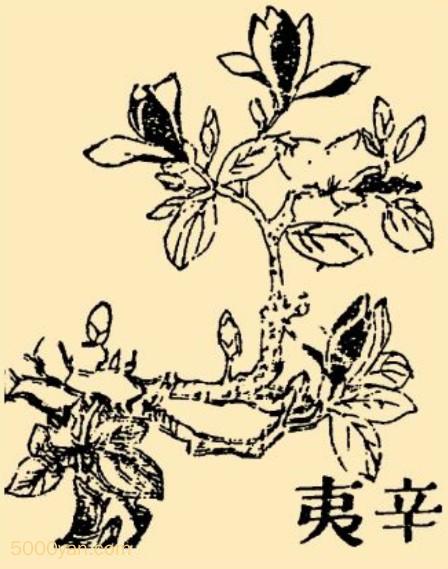 Ĳͼ