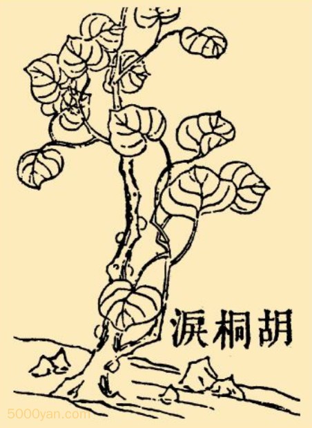 ͩͼ