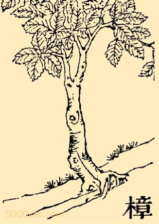 Բͼ