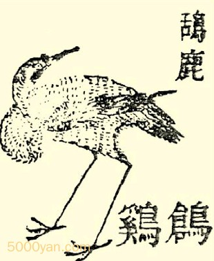 ]qingͼ