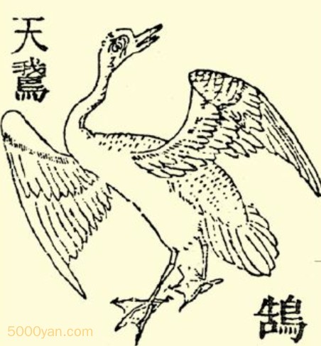 죨ͼ