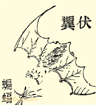 𣨷ͼ