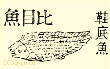 Ŀͼ