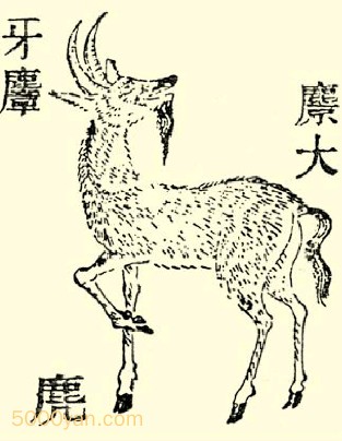 䣨jͼ