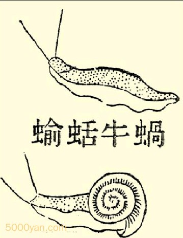 ţͼ