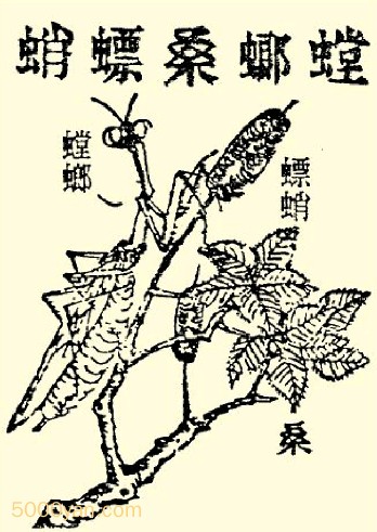 롢ɣ٣pio xioͼ