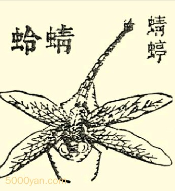 Ѳͼ