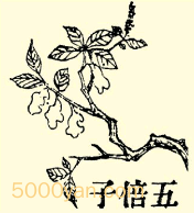 屶Ӳͼ