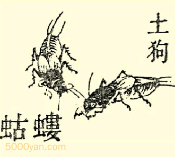 lu qͼ