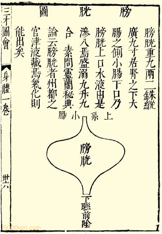 �อ��ʵ�걾��ҩʽ��ͼ