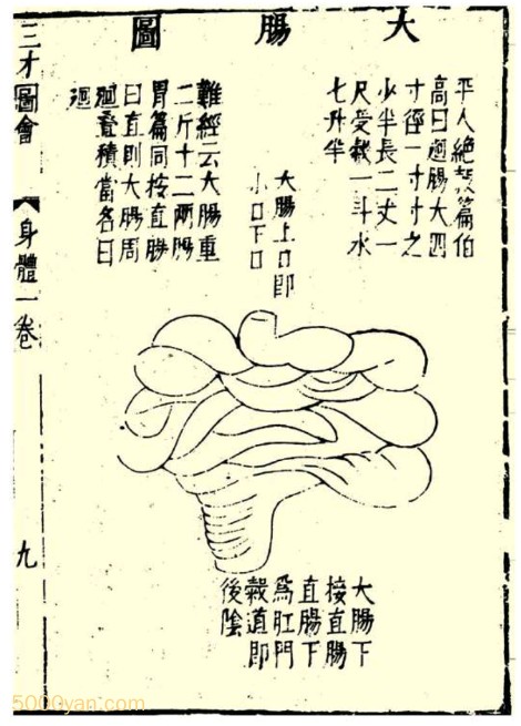 �อ��ʵ�걾��ҩʽ��ͼ