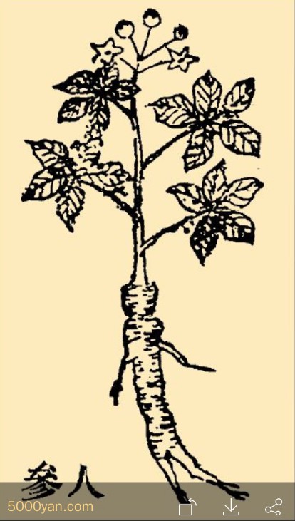 ˲βͼ