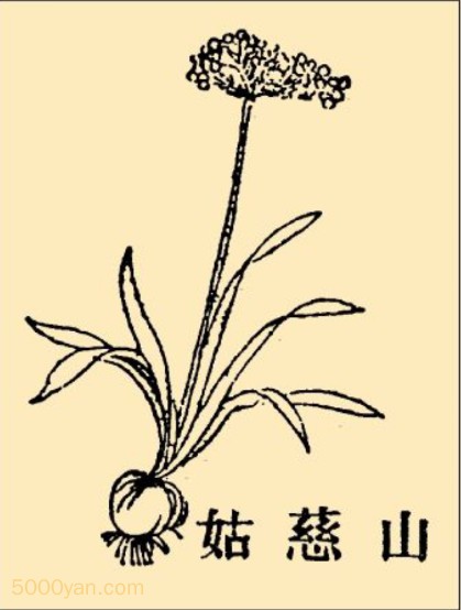 ɽȹòͼ
