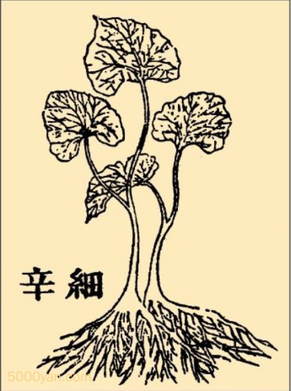 ϸͼ