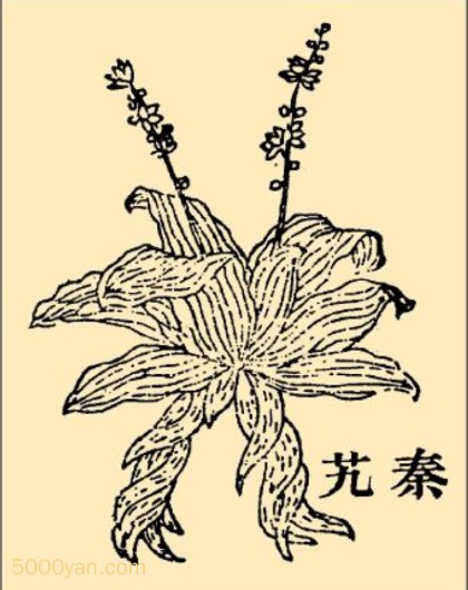ܴjioͼ