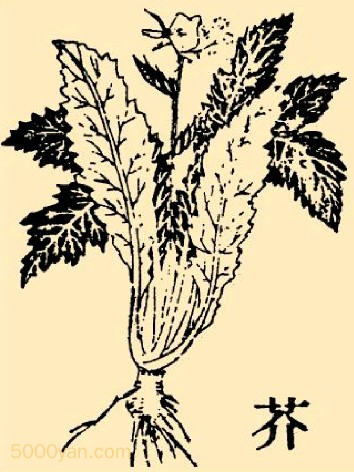 棨jiͼ