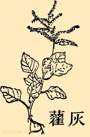 ydͼ