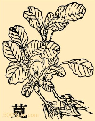 ȣxinͼ