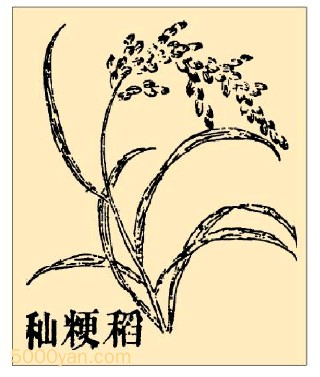 ̣xinͼ