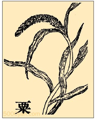 ڲͼ